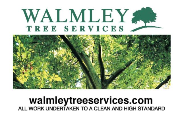 Tree Services in Sutton Coldfield