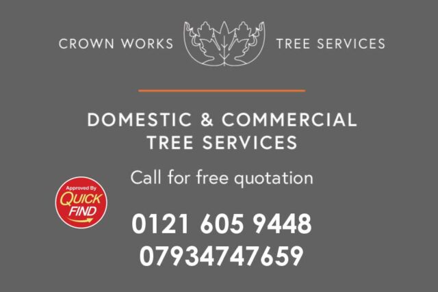 Tree Services in Lichfield / Tamworth