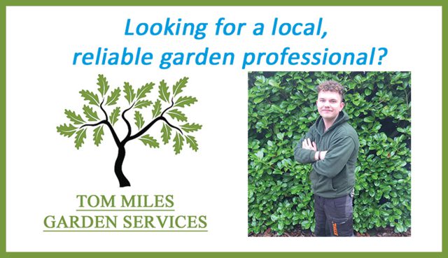 Tree Services Great Barr