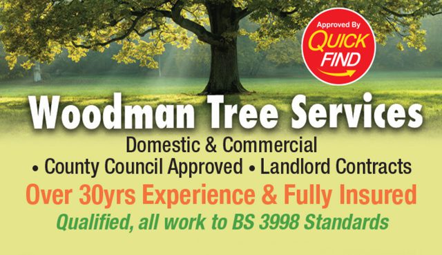 Tree Services in Lichfield / Tamworth