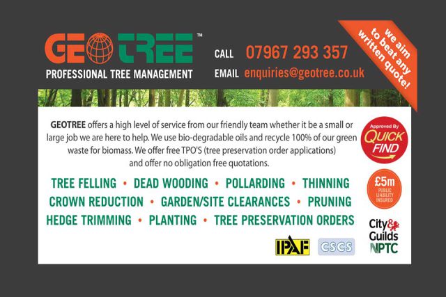 Tree Services Hall Green