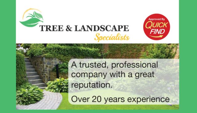 Tree Services in Redditch / Bromsgrove